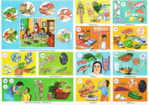 Monografia Alimentacion Los Minerales